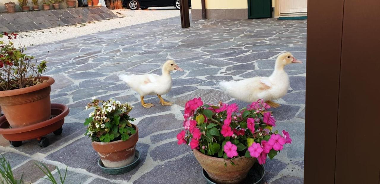 Borgo Tarapino Hotel Ferrara Luaran gambar