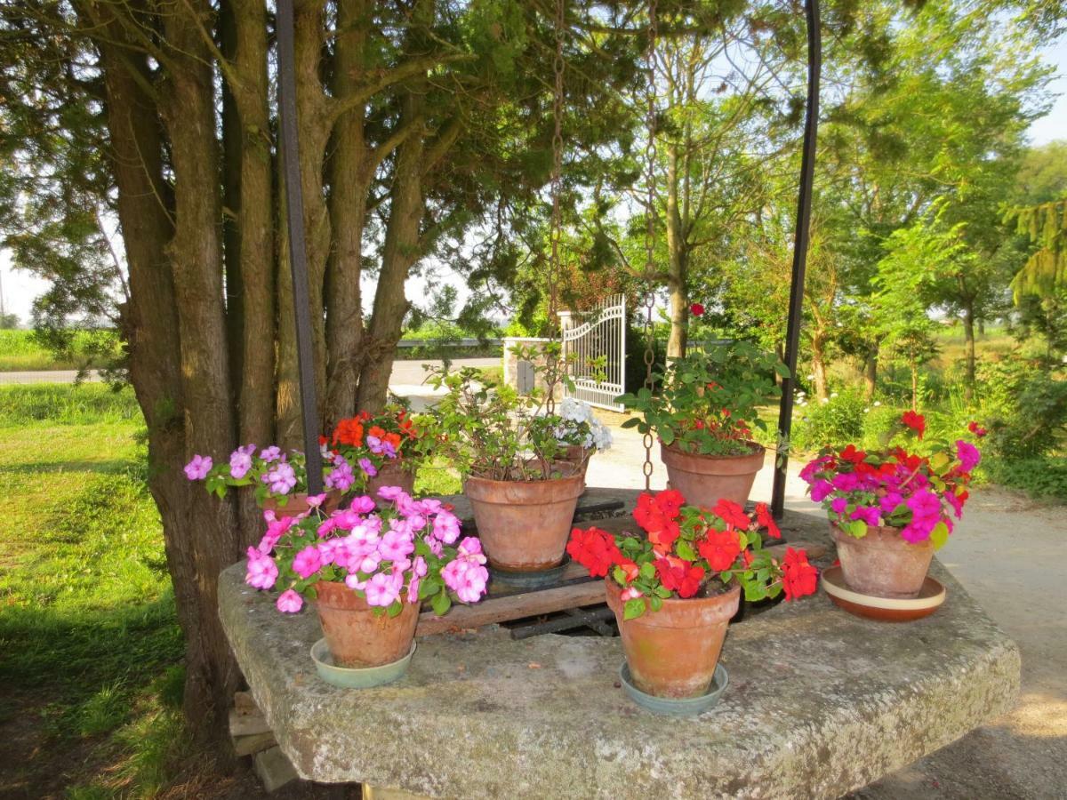 Borgo Tarapino Hotel Ferrara Luaran gambar