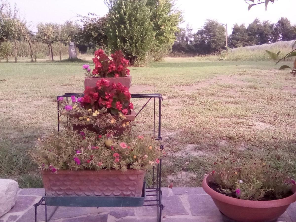 Borgo Tarapino Hotel Ferrara Luaran gambar